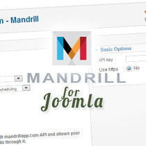 828_828_mandrill-big