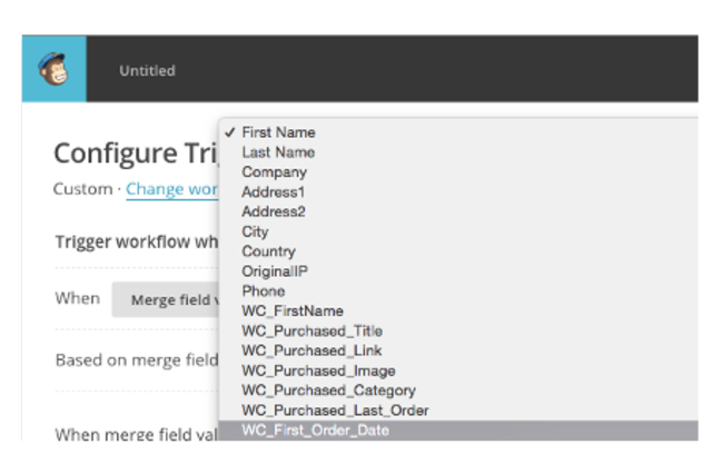 Purchase History in Custom MailChimp Merge Fields