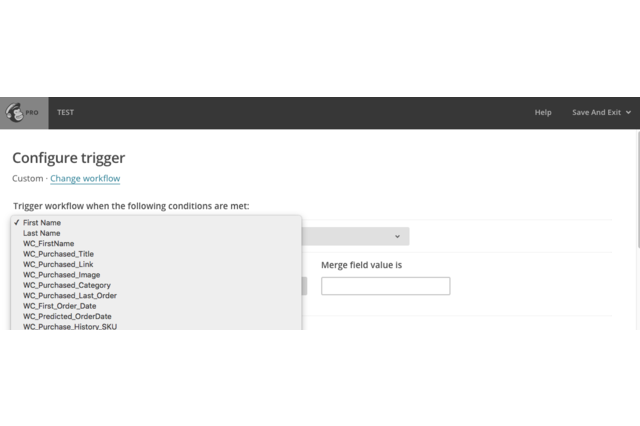 Purchase History in Custom MailChimp Merge Fields